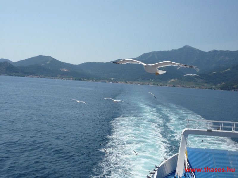 balazsh 2011